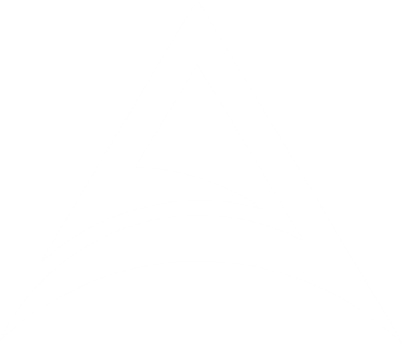 Animo Logo